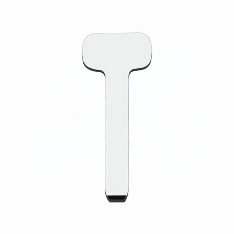 Emergency Key Blade for Leap Motor T03 Emergency Key Blade 2024–2026